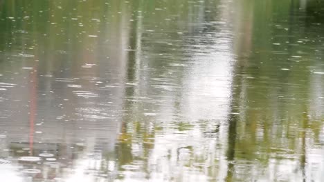 heavy raining water on pond