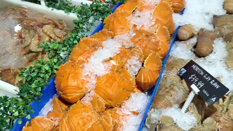 variety of seafood on ice at market