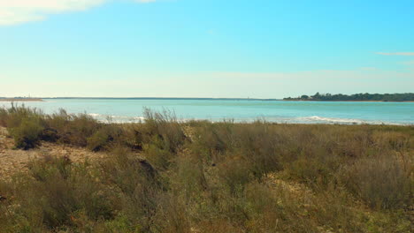 Hermosa-Vista-De-Una-Playa-Tropical-De-Île-De-Ré-Durante-El-Día-En-Île-De-Ré,-Francia