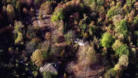 Abgelegene-Häuser-Herbstfarbe-Wald-Landschaft-Luftaufnahme-Nach-Unten