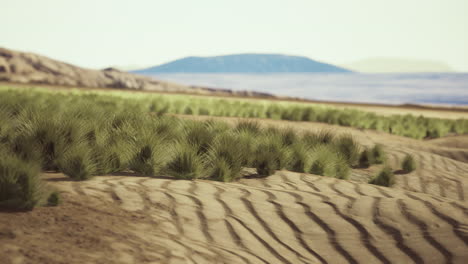 beautiful yellow orange sand dune in desert in middle asia