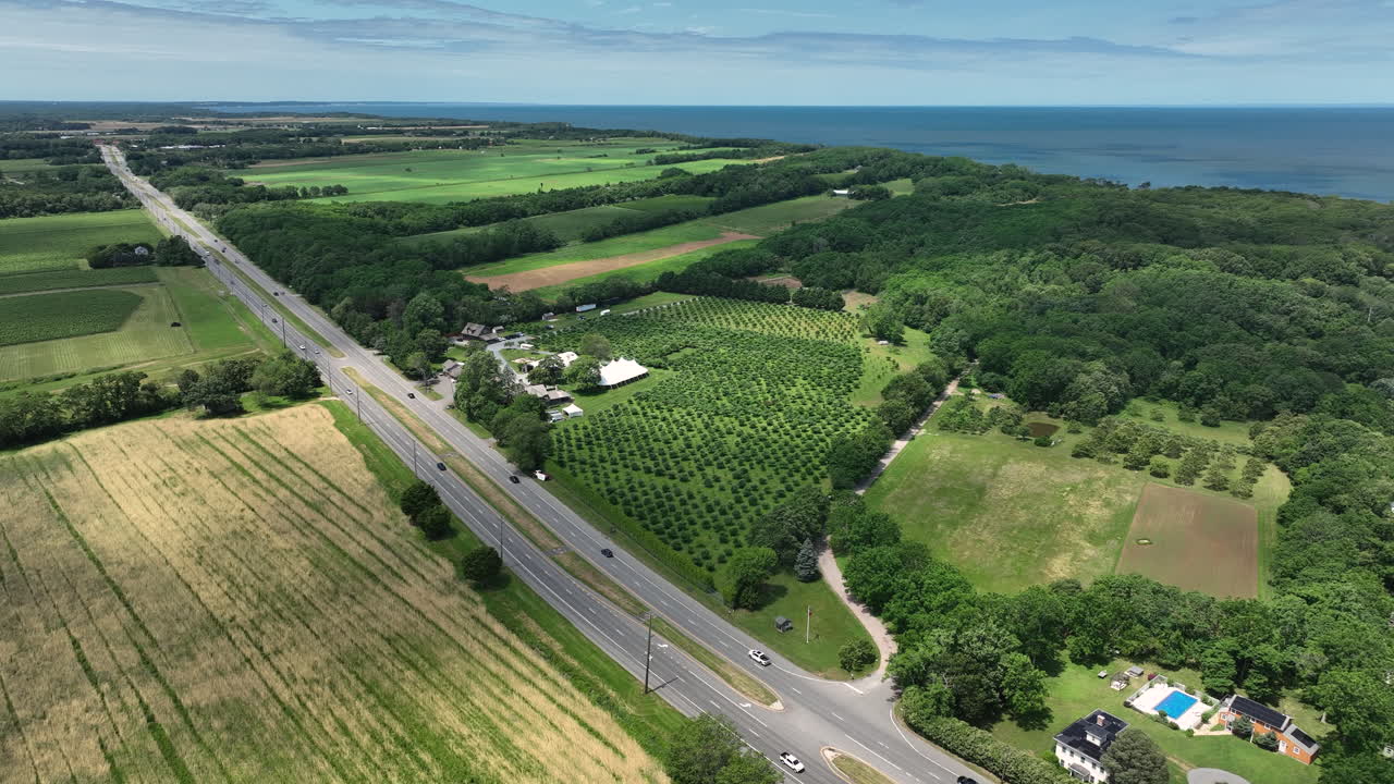 Highway Surrounded With Lush Green Fields In Peconic, New York - Drone Shot
