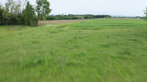 flying with a drone very low on the ground