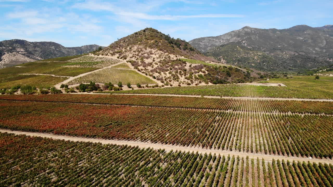 Aerial View of Vineyard Landscape with Mountains