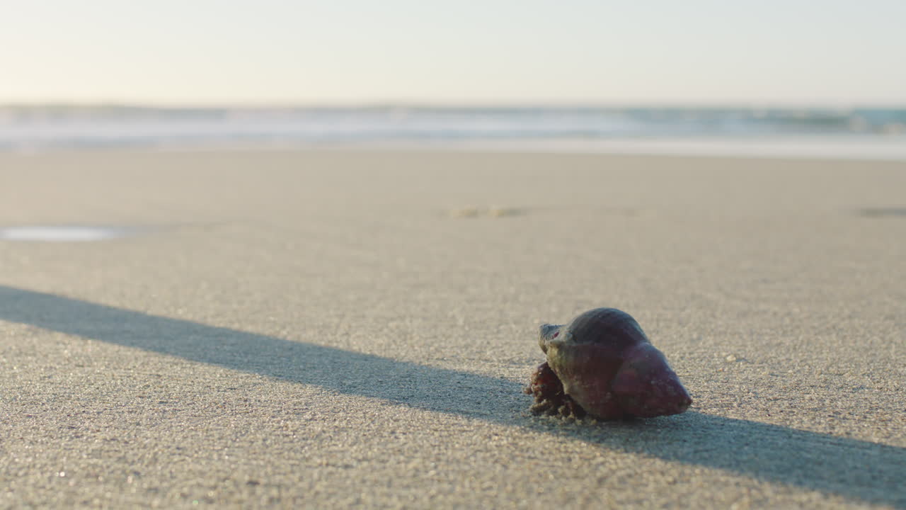 모래 단계에서 사람 발,  ⁇ 기 및 해변