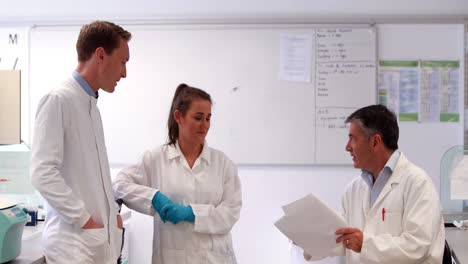científicos hablando juntos sobre el experimento