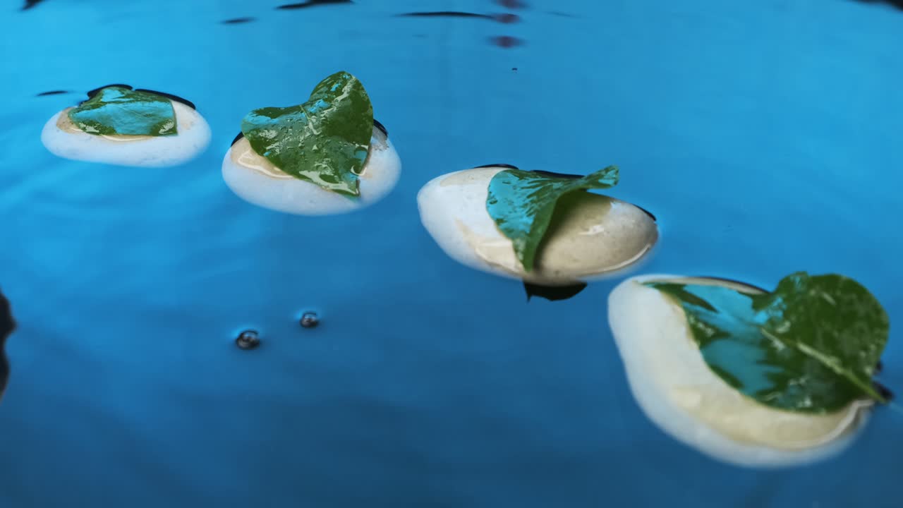 녹색 잎을 가진  돌의 배경에 파란 물에 떨어집니다.