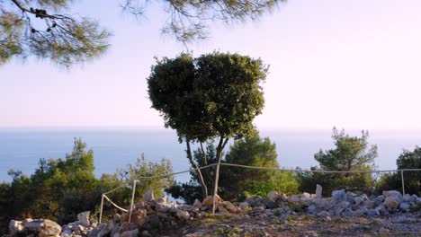low aerial shot over a bench in a viewpoint of the island of mali losinj in croatia