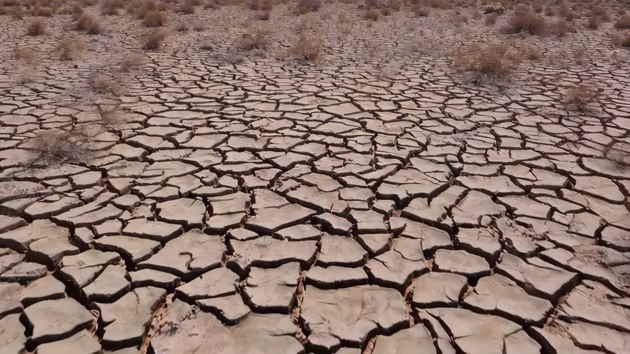 건조한 균열 된 땅