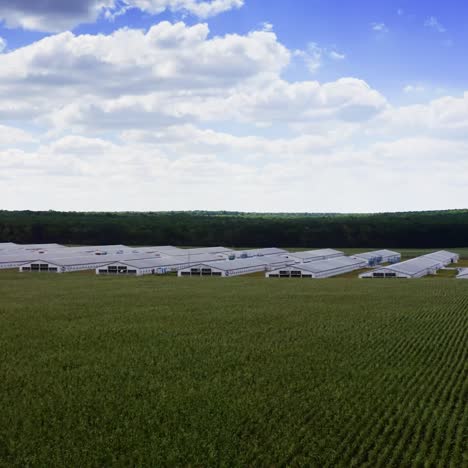 modern farm among agricultural fields. white farm buildings on beautiful nature background. agricultural complex on rural landscape. motion camera to the left