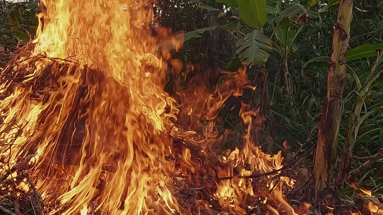 Uncontrolled wildfires, intense heat, environmental destruction, slow-mo