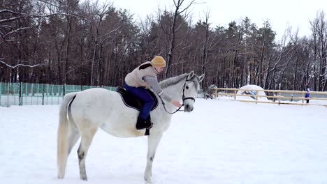 girl rides on horse in the paddock. jockey girl trains the the horse right movements. quiet winter cloudy day. a little snow falls.