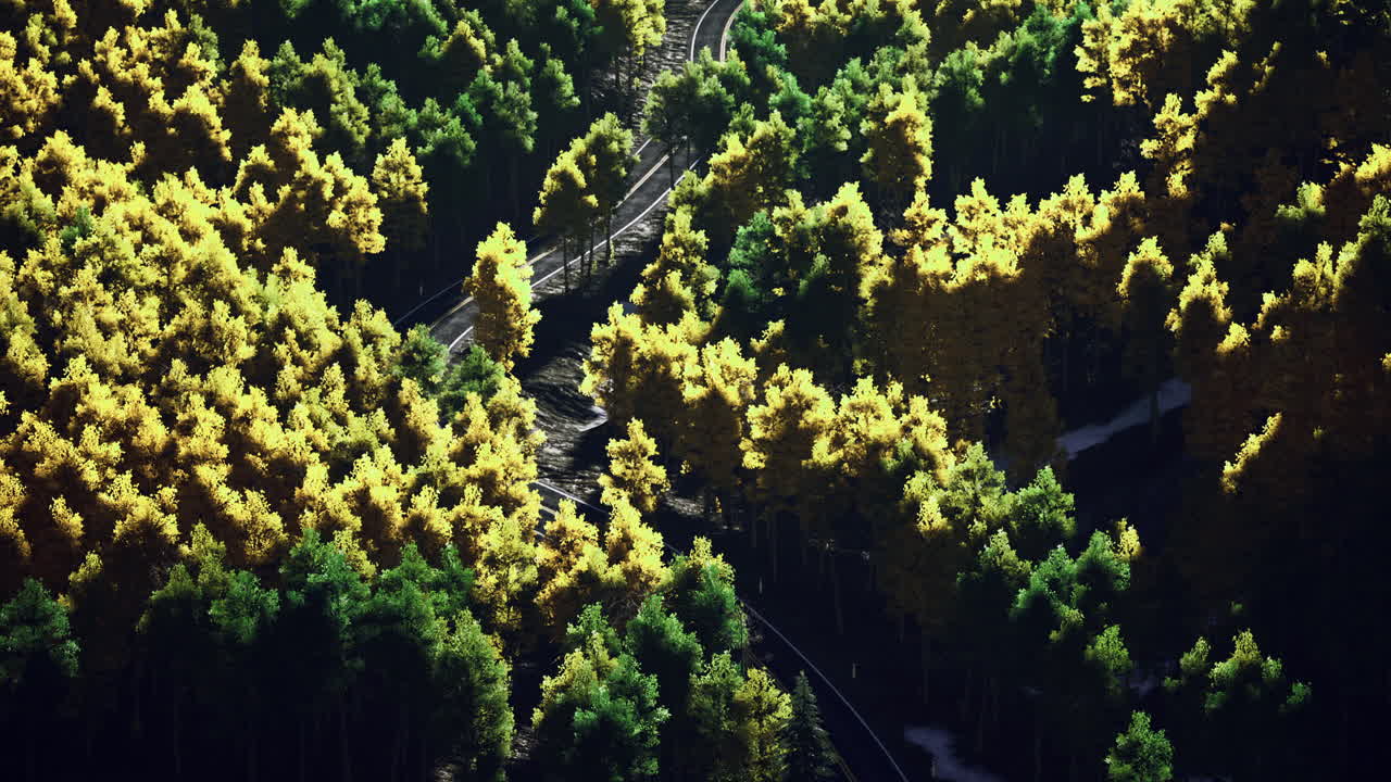 Winding path through vibrant autumn forest with golden and green foliage