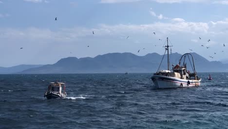 professional greek fisherman returning to the island port after a day fishing on a waving sea, with many seagulls flying around