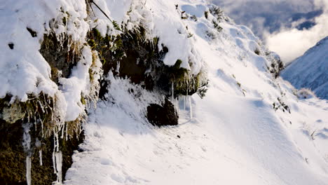 pan shot of snowy bush and plants with frozen icicles during sunny day in mountain hike in new zealand