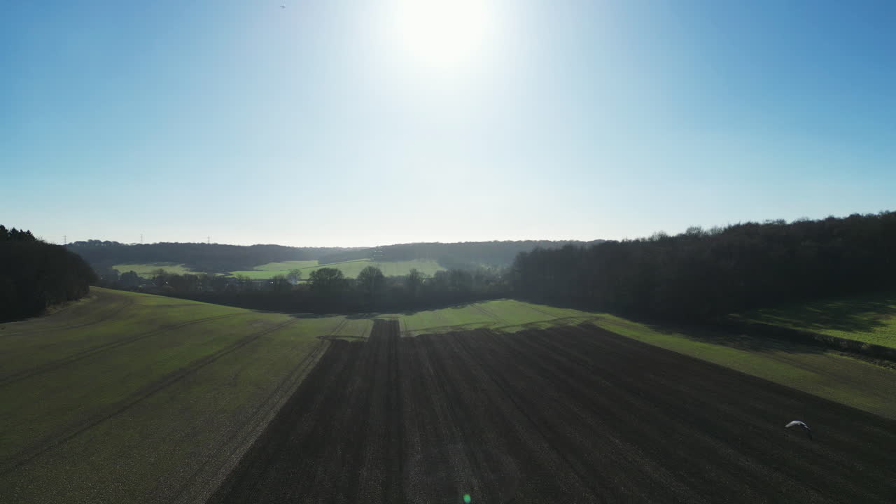 воздушный вид вспаханного поля с птицей, летящей в выстрел