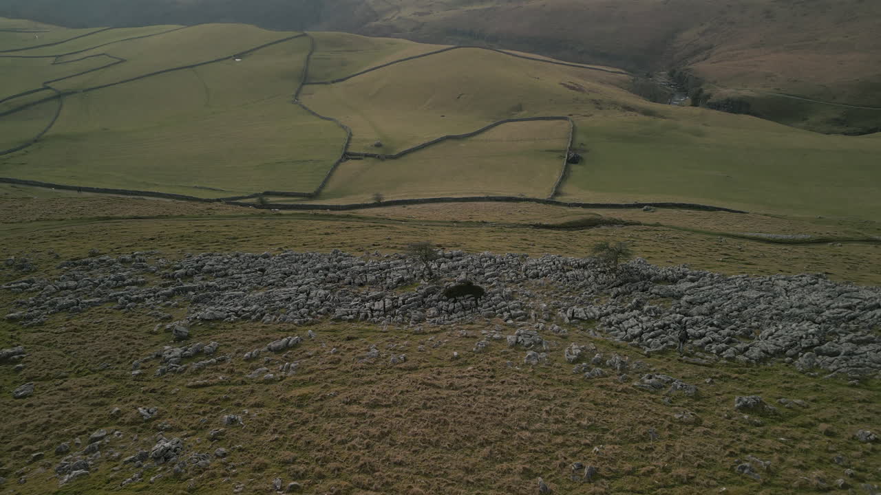 ladera rocosa árbol solitario tirar revelando campos de retazos verdes en la campiña inglesa de yorkshire, reino unido