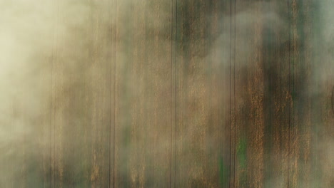 flying through clouds over a large farm