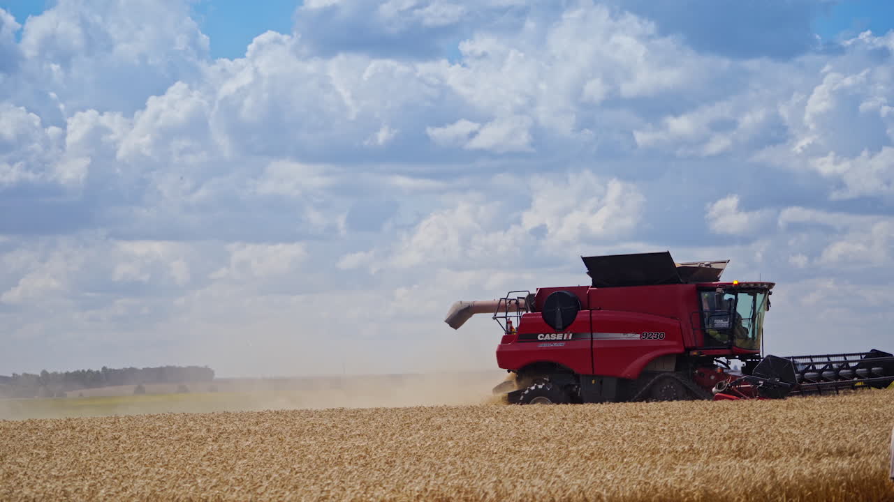 Grain harvest combine harvester. Harvesting machine working in the field