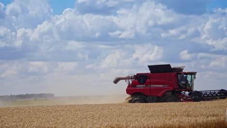 grain harvest combine harvester. harvesting machine working in the field
