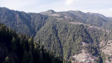 lush, rolling hills covered with dense pine forests under a clear sky