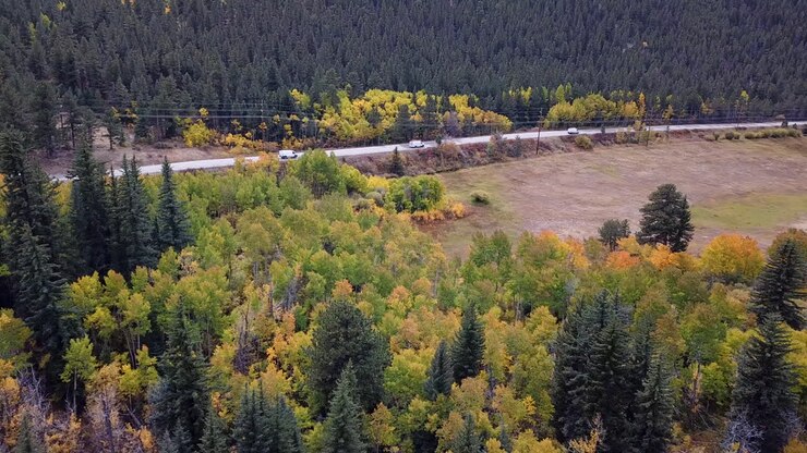 Vista aerea del traffico stradale nel Colorado rurale, USA, con vivido fogliame della foresta autunnale, ripresa drone