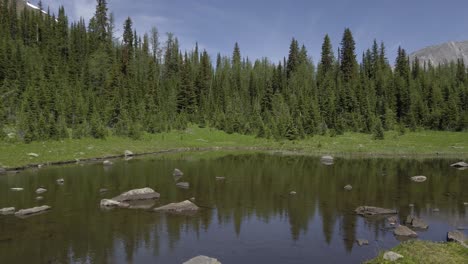 mountain pond with forest mountain range pan rockies, kananaskis, alberta canada