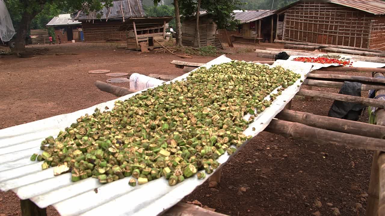 Rural Ghanaian village with sliced okra and red peppers sun-drying on metal sheet racks in dusty courtyard between traditional wooden houses