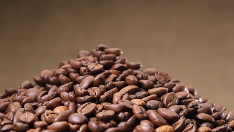 arabica coffee beans rotating on jute canvas background