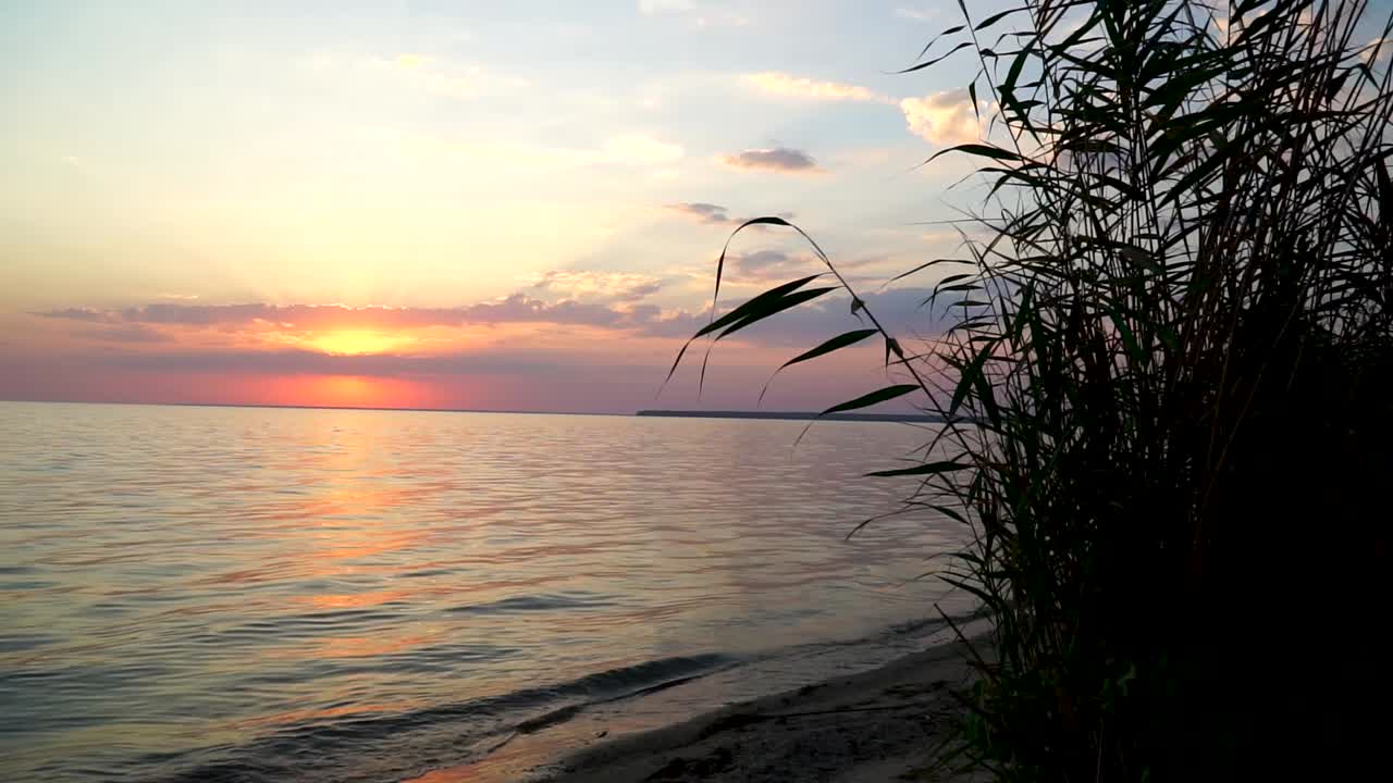 Onde sul mare al tramonto con un cespuglio verde nell'angolo destro, ripresa statica