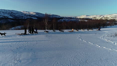 Establishing-shot-of-Dog-sleds