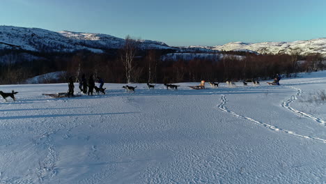 establishing shot of dog sleds