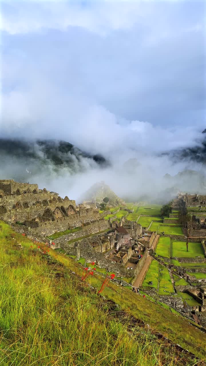 Alba a Machu Picchu, sentiero Inca, circuito turistico, terrazze, paesaggio, soleggiato, nuvole nebbiose, Ande peruviane, Perù, Santuario Inca storico, tempio, stagione delle piogge, giungla verdeggiante, panoramica verticale a destra