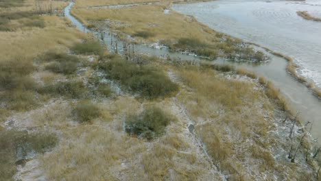 Vista-Aérea-De-Pájaro-Del-Gran-Cormorán-Vacío,-Día-Soleado-De-Invierno,-árboles-Muertos,-Río-Barta,-Amplio-Tiro-De-Drones-Avanzando