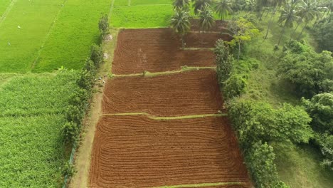 aerial shot of freshly plowed field full of fertile soil for ginger plantation