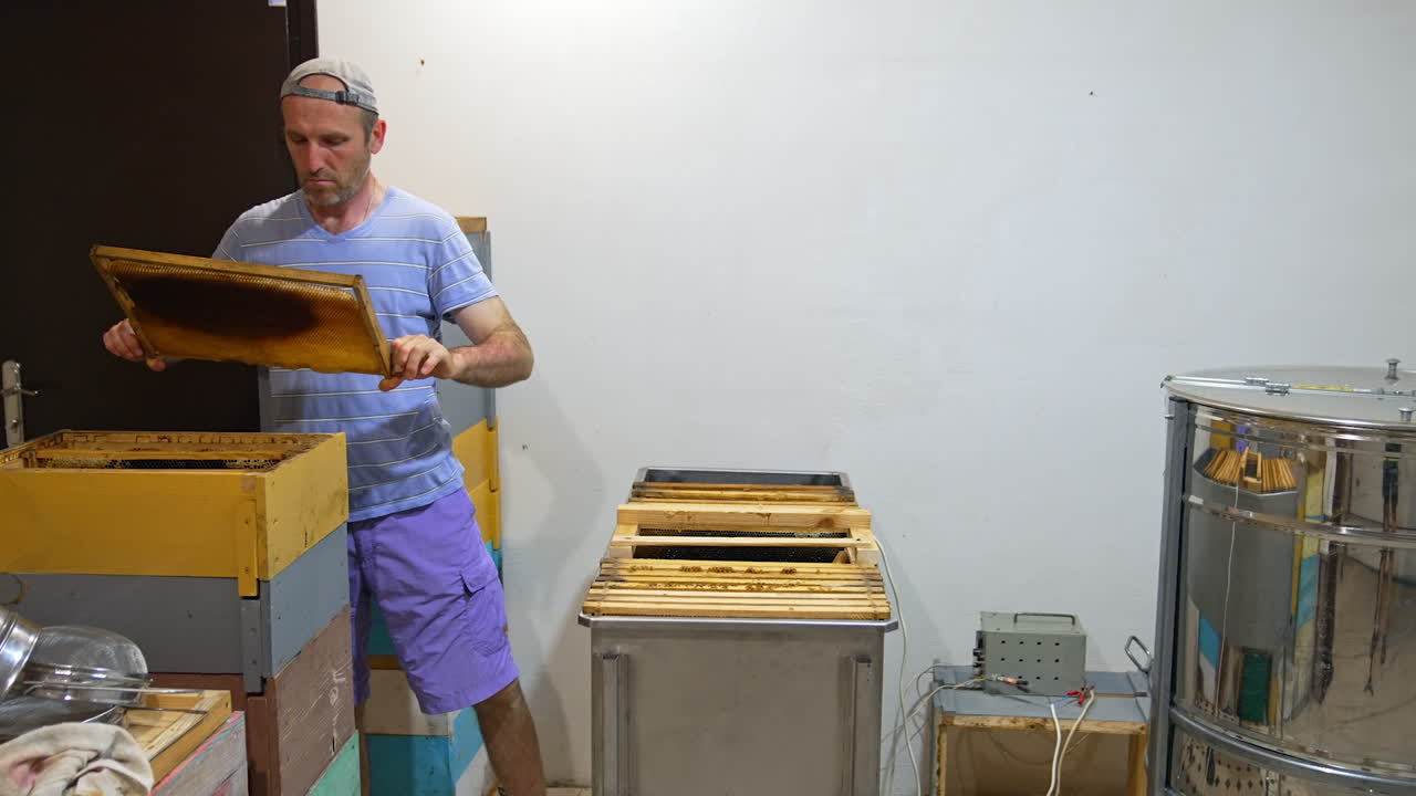 Beekeeper working with honeycombs