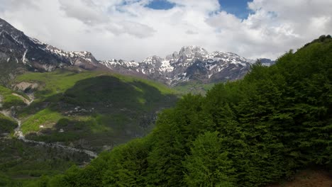 Grüner-Wald-Mit-üppiger-Vegetation,-Die-Im-Frühling-Die-Berge-Bedeckt