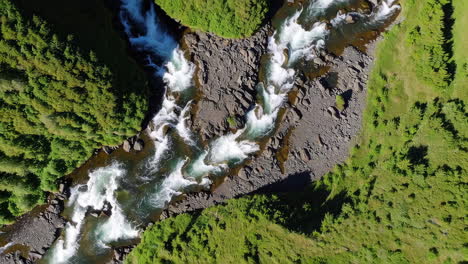 aerial view of rushing river and rapids in a forested landscape