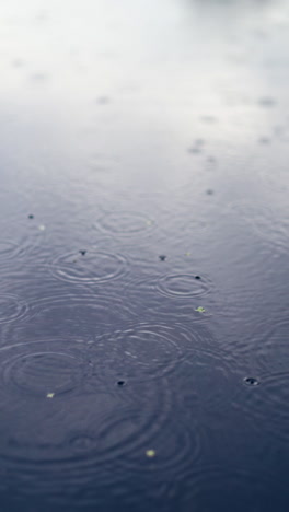Rain drops fall on water surface of pond, lake or river forming a uniform background. Vertical video
