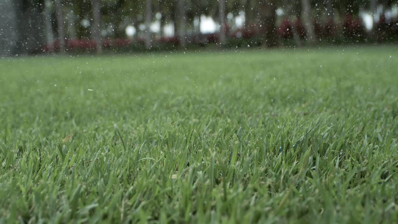 Golf club hits a white golf ball in a super slow motion. Drops of morning dew and grass particles rise into the air after the impact. Shot on super slow motion camera 1000 fps.