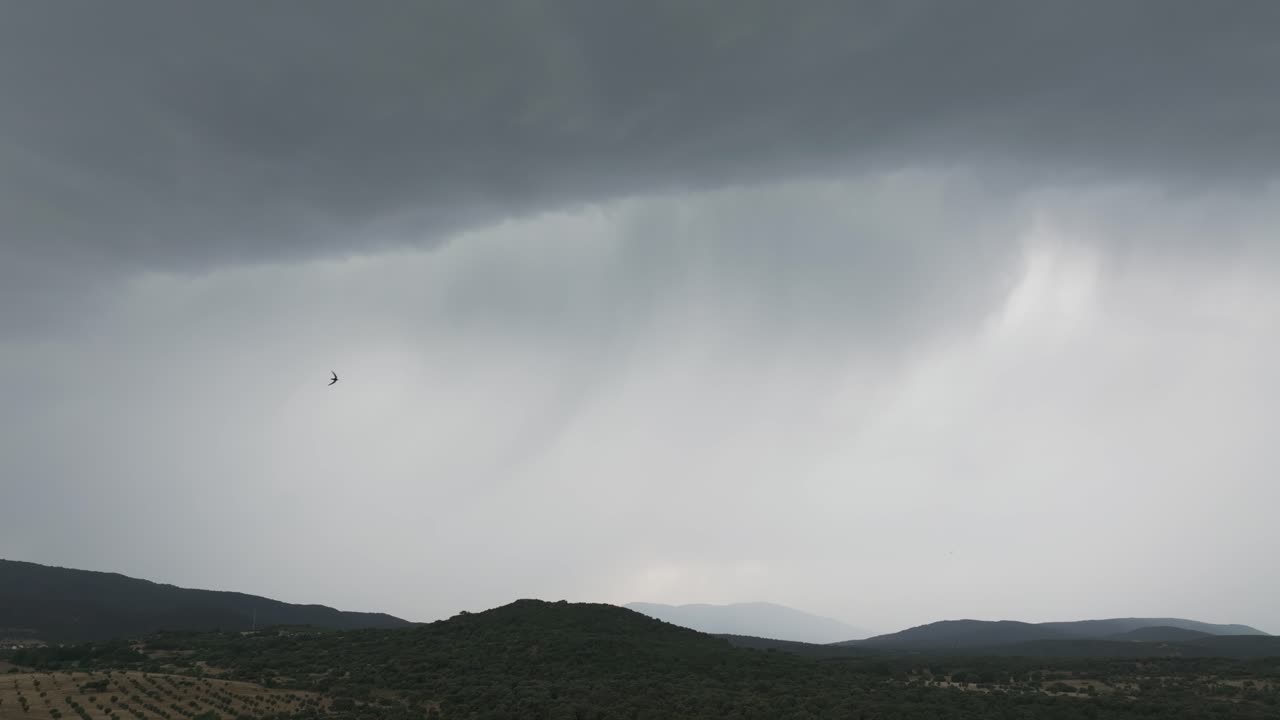 Slow motion aerial view of storm clouds flashing with lightning as birds cross the sky above forested hills. A moment of wild beauty and power where nature breathes life and electricity
