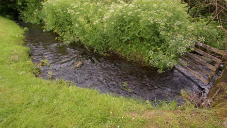 wide shot looking up a fast flowing stream with cut grass lawn in foreground in west lake district