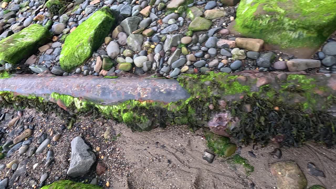 rocas y guijarros cubiertos de musgo cerca del agua