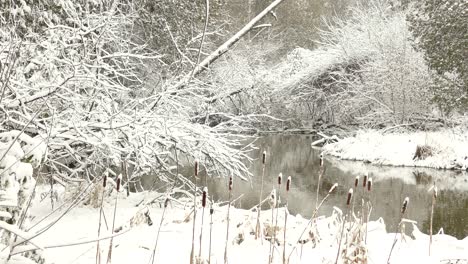 Frisch-Fallende-Schneeflocken-Auf-Einem-Kleinen-Fluss-In-Einer-Winterwunderlandlandschaft,-Verpackt-In-Weißem-Schnee-Im-Algonquin-Park-Ontario