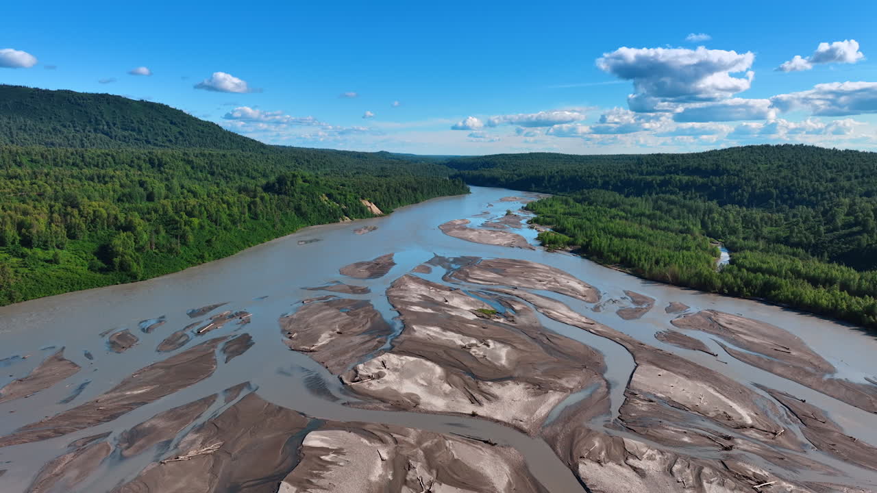 Footage over the vast delta of branching river flowing among the lush forests. Amazing nature of Alaska, US on sunny day. Aerial view