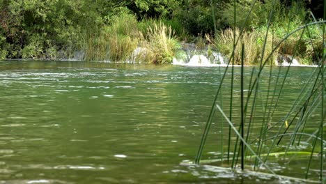 Fließendes-Wasser-Auf-Einem-Smaragdgrünen-Teich-Mit-Schmalen-Bambuspflanzen,-Die-Im-Vordergrund-Verschwommen-Sind