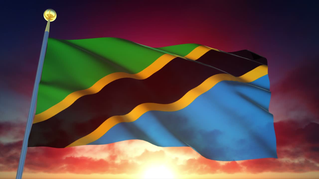 4k 매우 상세한 탄자니아 발