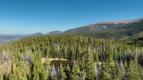 views of nymph lake at rocky mountain national park