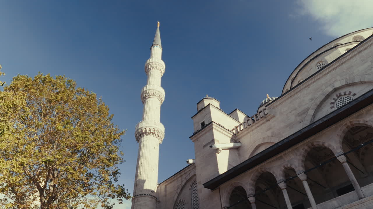 внешний вид мечети в стамбуле