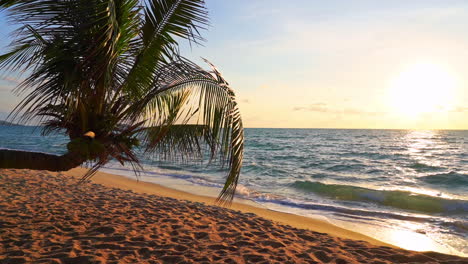 Eine-Leichte-Meeresbrise-Weht-Die-Wedel-Einer-Palme,-Die-über-Einen-Sandstrand-Drapiert-Ist